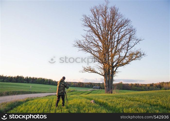 City Cesis, Latvia Republic. Photographer make photo with Oak tree and meadow. May 5. 2019 Travel photo.