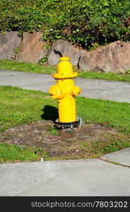 City fire hydrant