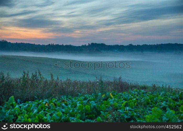 City of Kraslava, Latvia. Early morning with sunlight, meadow, trees and fog. Nature photo. Travel photo 2018.