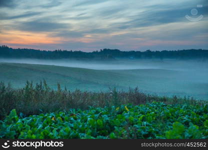 City of Kraslava, Latvia. Early morning with sunlight, meadow, trees and fog. Nature photo. Travel photo 2018.