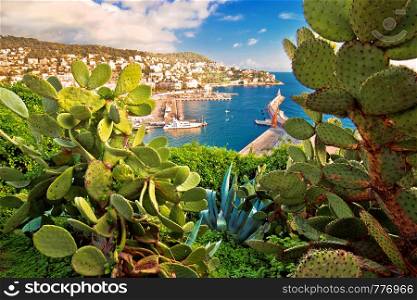 City of Nice colorful waterfront and yachting harbor view through mediterranean cactus and agave, French riviera, Alpes Maritimes department of France