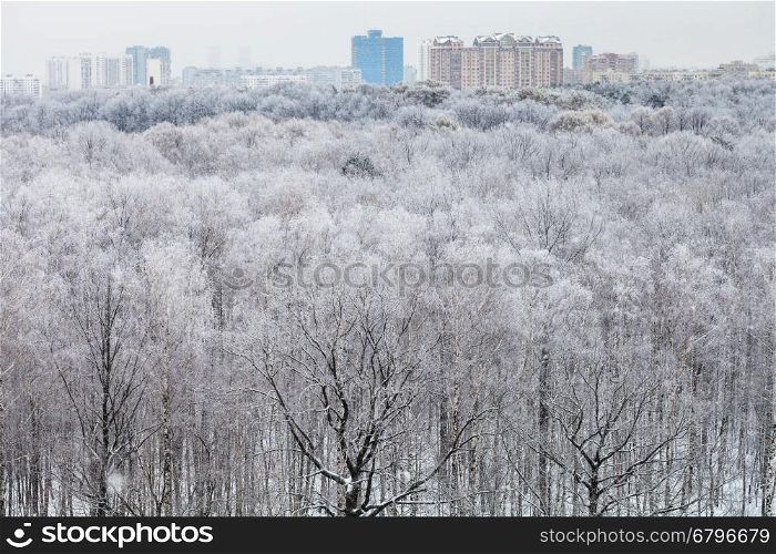 city on horizon and above view of forest covered by snow in cold winter day