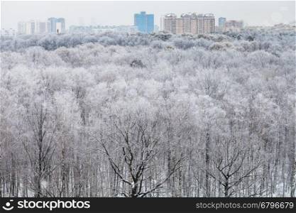 city on horizon and above view of forest covered by snow in cold winter day