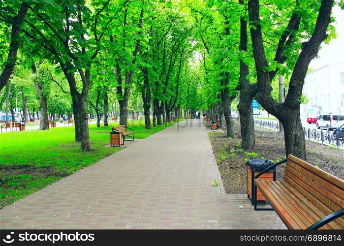 city park with promenade path benches and big green trees. beautiful city park with nice promenade path benches and big green trees. City park in the spring