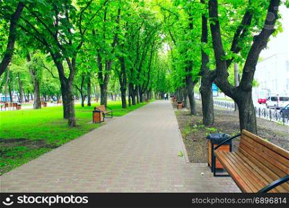 city park with promenade path benches and big green trees. beautiful city park with nice promenade path benches and big green trees. City park in the spring