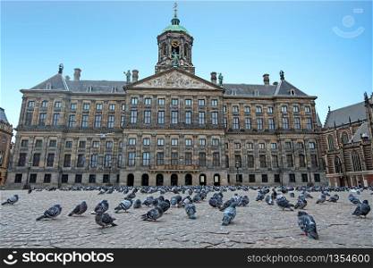City scenic from Amsterdam on the Dam square with doves instead of tourists during the Corona crisis in the Netherlands