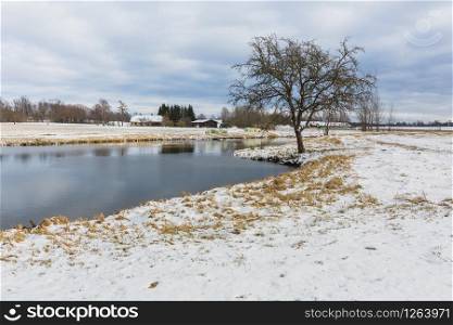 City Sigulda, Latvia. White meadow with snow and apple tree.Travel photo.29.02.2020