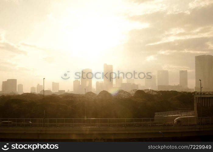 City skyline at dawn, Tokyo, Kanto Region, Honshu, Japan