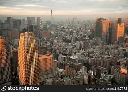 City skyline viewed from the Tokyo Tower, Minato Ward, Tokyo, Japan