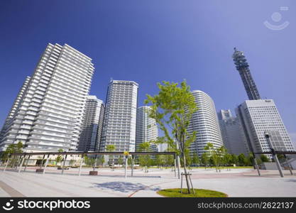 city view on blue sunny day