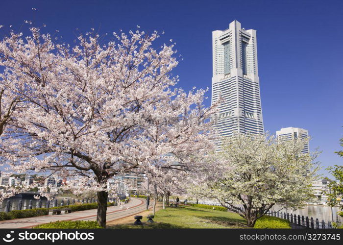 city view on blue sunny day