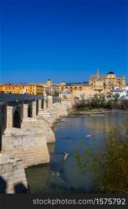Cityscape of Cordoba with roman bridge and Mezquita, Andalusia, Spain. Mezquita and roman bridge
