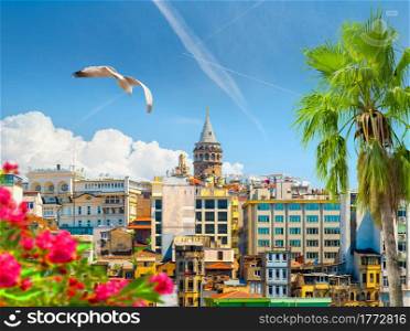 Cityscape of Istanbul with the view on Galata Tower. View on Galata Tower