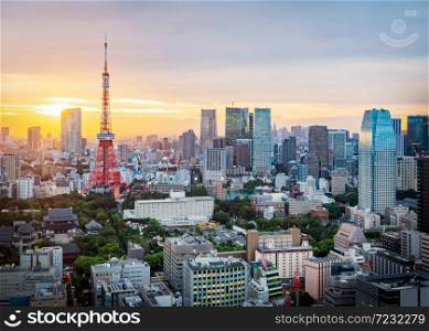 Cityscape of Tokyo skyline, panorama aerial skyscrapers view of office building and downtown in Tokyo in the evening. Japan, Asia.. Cityscape of Tokyo skyline, panorama aerial skyscrapers view of office building and downtown in Tokyo in the evening.