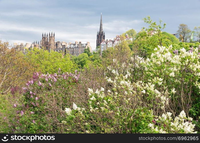 Cityscape Scottish Edinburgh seen from Princes Street Gardens in springtime. Cityscape Scottish Edinburgh seen from Princes Street Gardens