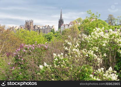 Cityscape Scottish Edinburgh seen from Princes Street Gardens in springtime. Cityscape Scottish Edinburgh seen from Princes Street Gardens