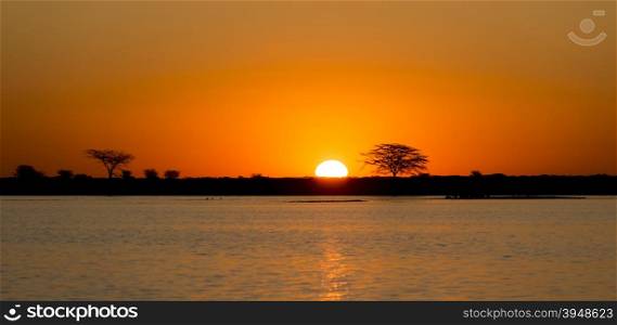 Classic African sunset with huge burning sun over Acacia trees and water in Botswana, Africa