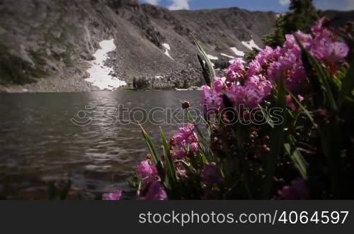 Classic High Mountain Wilderness Wildflowers and Alpine Lake. Themes of outdoors, nature, environment, seasons, summer, spring, tourism, destinations