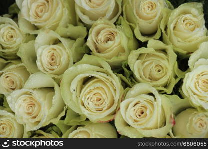 Classic white wedding arrangement with big white roses