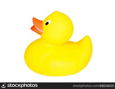 Classic yellow plastic duck with white background