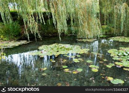 Claude Monet&rsquo;s garden and pond in Giverny France