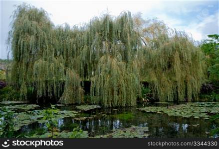 Claude Monet&rsquo;s garden and pond in Giverny France
