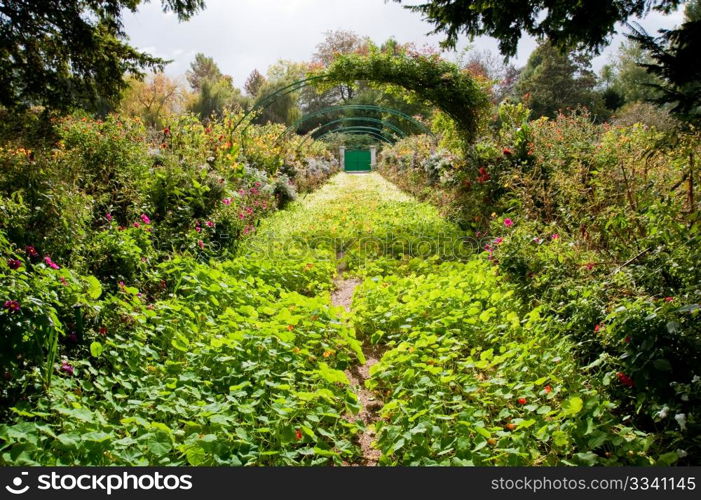 Claude Monet&rsquo;s garden in Giverny France