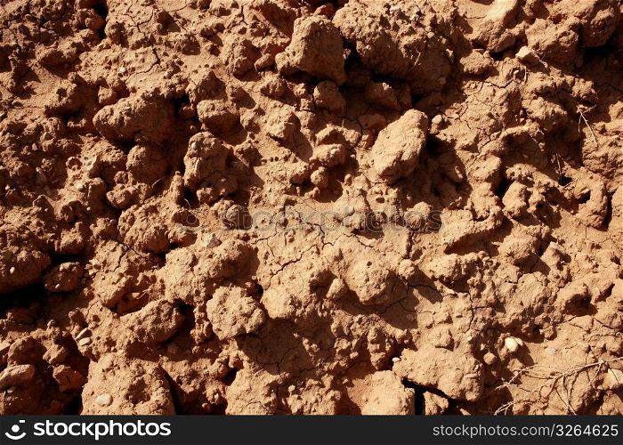 Clay red agriculture textured soil of farmanland