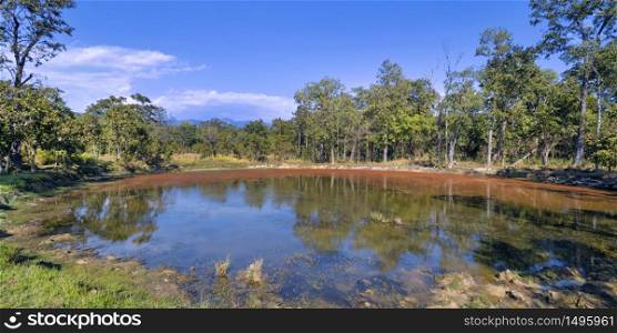 Clay Rich Swamps, Sal Forest, Royal Bardia National Park, Bardiya National Park, Nepal, Asia