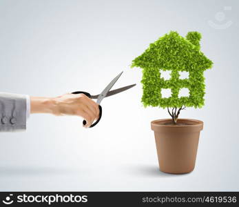 Clean house. Image of human hand cutting leaves of plant in shape of house