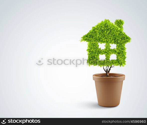 Clean house. Image of plant in pot shaped like house