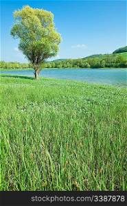 Clean mountain lake with green meadow