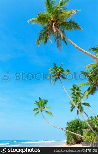 Clean sandy ocean beach at tropical resort island with coconut palm trees and clear blue sky