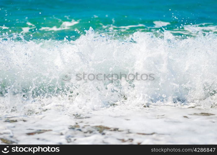 clean sea water is removed close up on the shore