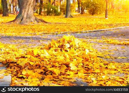 Cleaning in the park - heap of autumn yellow leaves on ground