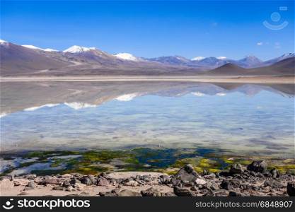 Clear altiplano laguna in sud Lipez reserva Eduardo Avaroa, Bolivia. Clear altiplano laguna in sud Lipez reserva, Bolivia