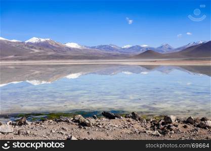 Clear altiplano laguna in sud Lipez reserva Eduardo Avaroa, Bolivia. Clear altiplano laguna in sud Lipez reserva, Bolivia