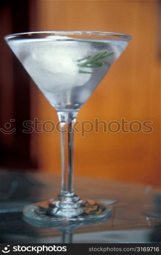Clear Cocktail in a Martini Glass With Juniper Garnish