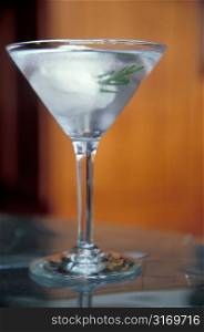 Clear Cocktail in a Martini Glass With Juniper Garnish