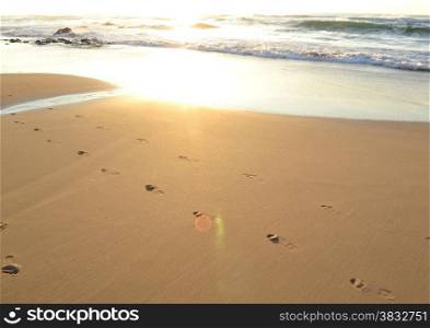 Clear footprints in a fresh morning sea sand with the sun reflecting in the water. Footprints in sand