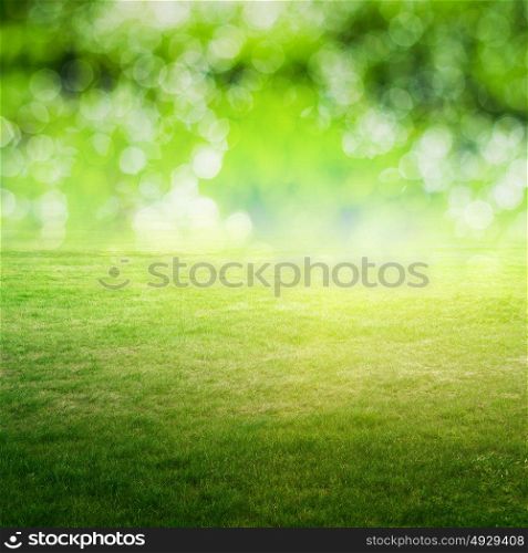 Clear grass field bokeh landscape. Summer background