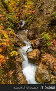 Clear natural stream flow down from the mountain passing rocks and beautiful colorful foliage of autumn season at Naruko Gorge, Miyagi Prefecture, Japan.