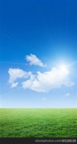 Clear sky and grass. Clear sky and grass. Vertical summer panorama. Clear sky and grass