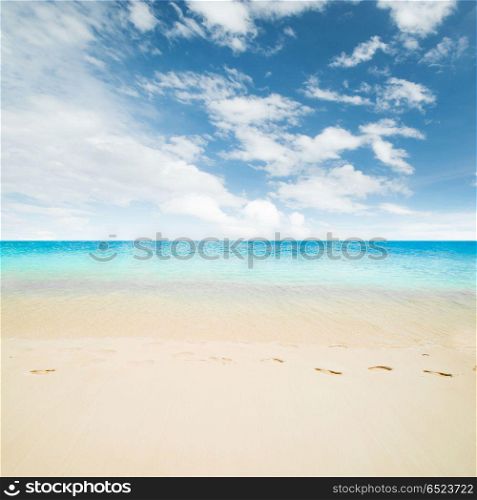 Clear sky and island beach. Tropical beach and ocean. Sun and clouds. Clear sky and island beach