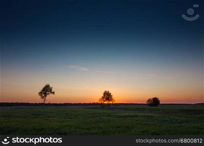 Clear sunset sky over green field