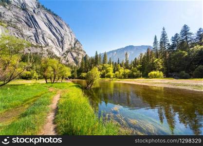 Clear water and evergreen pine forest surrounded by granite mountains in Yosemite National Park, California USA. Clear water and evergreen pine forest
