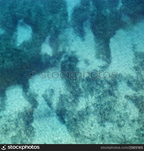 Clear water revealing tropical ocean floor.