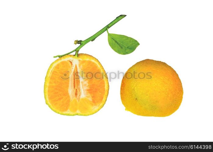 Clementine cutted in half isolated on white background