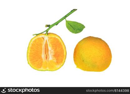 Clementine cutted in half isolated on white background