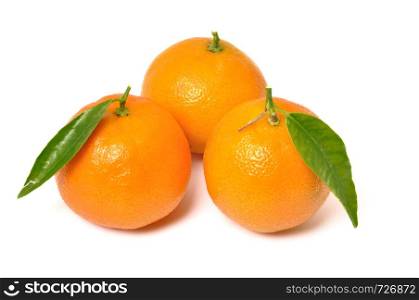 Clementine orange